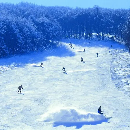 Hotel La Maielletta 3*