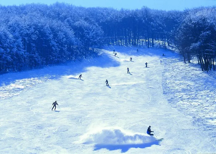 Отель La Maielletta 3*