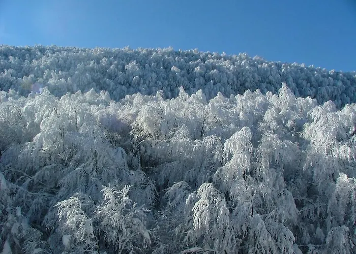 La Maielletta 3* Преторо